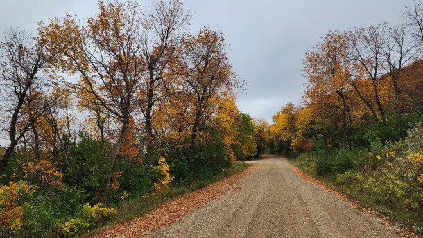 Des Lacs National Wildlife Refuge south of Kenmare, North Dakota.