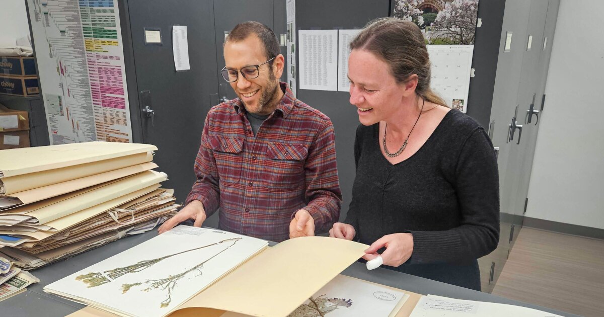 Utah’s warm winter is likely to lead to a confusing spring for early flowering