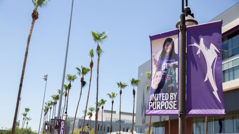 Purple GCU signs on campus with palm trees behind 