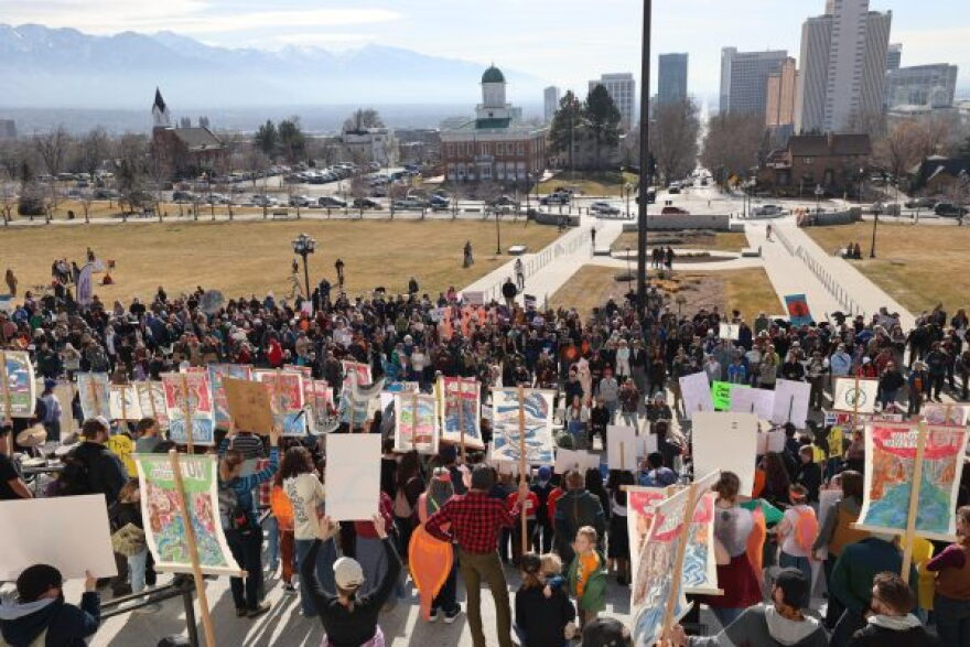 A group of people stand on stairs looking down at another large group of people. The back of protest signs are in view and behind all the people is a large park with yellowish green grass. Two sidewalks lead away from the stairs with a connecting sidewalk oval. In the background are cars and skyscrapers. Farther back is a large mountain with haze covering it.