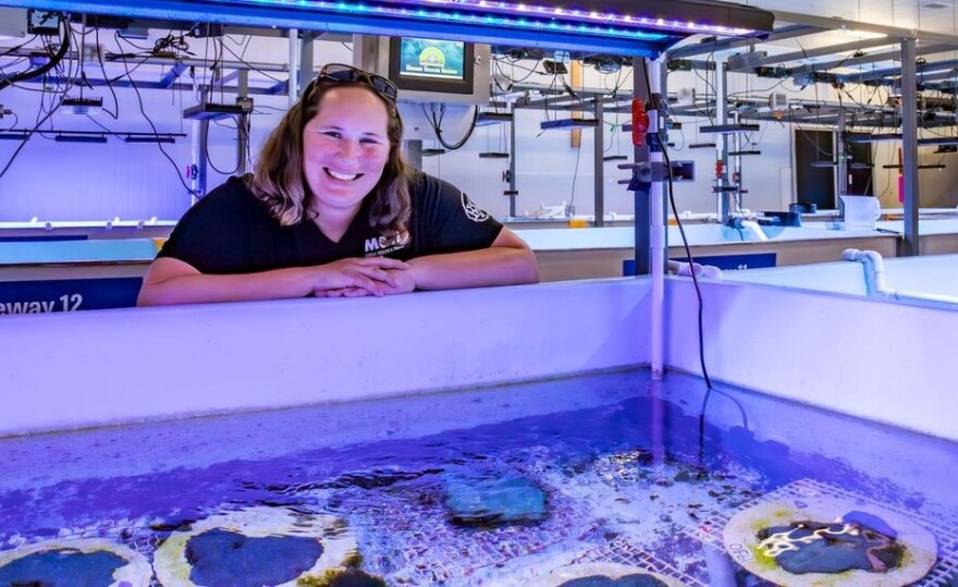 Woman looking over a pool full of coral