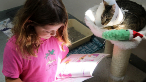 Kairi Bean reads to Patuzo at the Humane Society of North Central Florida during Purrs & Tales in Gainesville, Fla. Thursday, July 23, 2026.