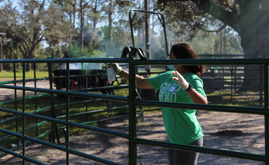 Volunteers spray painting railings at Special Equestrians in Fort Myers on Saturday, Oct. 22, 2022. These volunteers came to Special Equestrians during FGCU's Make a Difference Day to help out around the property following Hurricane Ian's destruction. (Photo/Hayley Lemery)