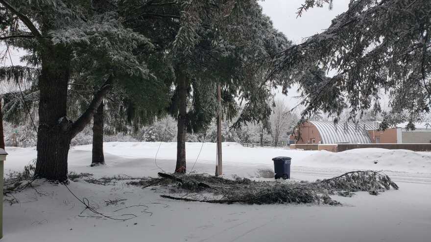 Tree limbs weighed down by ice and snow broke off and took down powerlines.