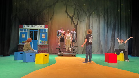 People standing on a green and yellow stage with red, blue and yellow blocks around the floor.