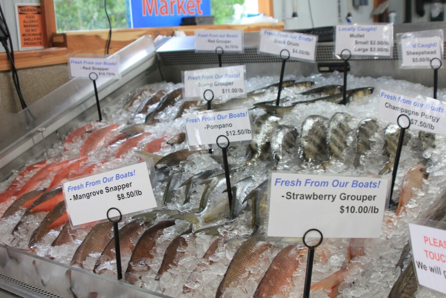 Fresh-caught Gulf fish like snapper, pompano and grouper sit on ice at Brooks Dockside Seafood in Inglis, Florida on Thursday, May 1, 2025/