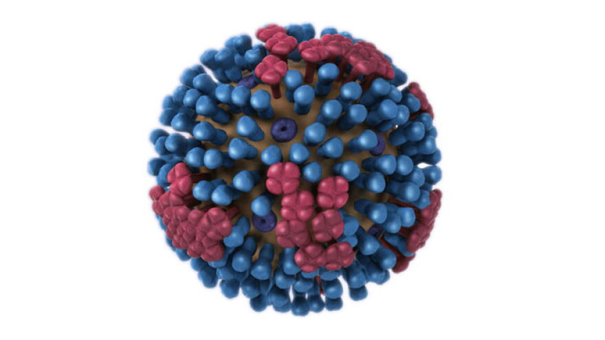 The influenza virus.
