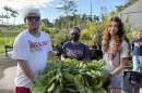 (from left) Keaʻau High School agriculture students Brilli, Mia and Inez stand next to a batch of bok choy grown at the school that will be used in the recipes for the Keaʻau Community Center's kūpuna cooking classes.