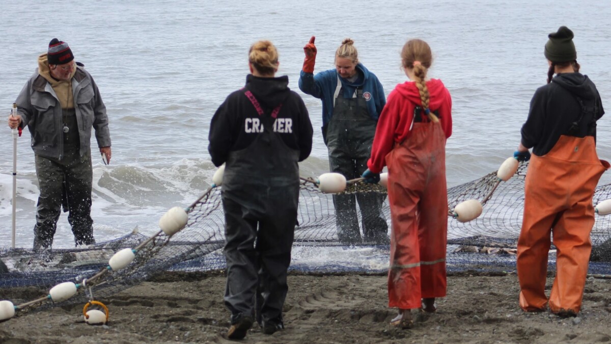 commercial salmon set net fishing for sale in alaska Cook Inlet setnetters turn to seining in effort to save east side fishery