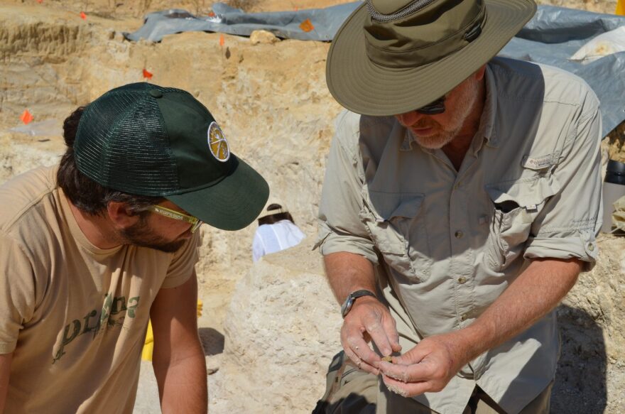 From left: Ryan Terrill, visiting researcher, graduate student in ornithology at LSU, David Steadman, Curator of Ornithology at FLMNH. (Virginia Annable/WUFT News)