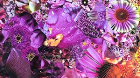 A bouquet