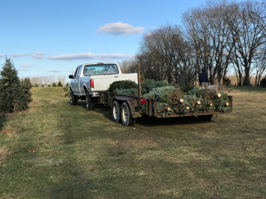 A truck at Dan and Bryan Christmas Trees hauls freshly cut trees that will be sold at either the Washington, D.C. or Chevy Chase, Maryland locations.