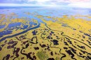  Much of Everglades restoration focuses on repairing the damage done by flood control. Hydrologist Tom Van Lent, a former chief scientist with the Everglades Foundation, is an expert in modeling how water flows around the watershed.