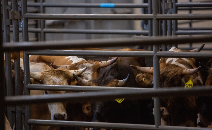 07312021-black-invitational-rodeo-dallas-kc-2.jpg