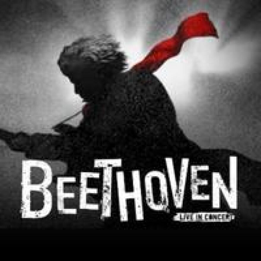 Beethoven Live in Concert