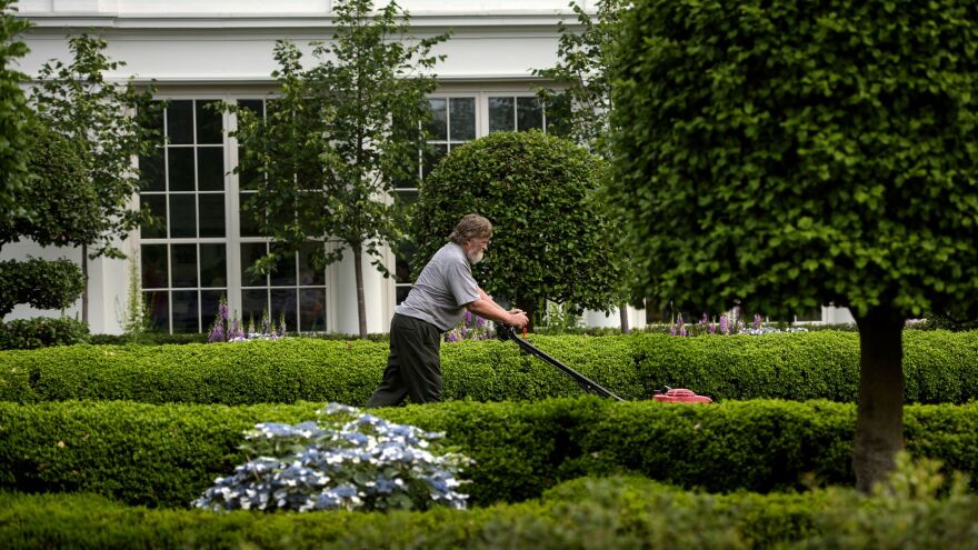 A groundskeeper cuts grass near the East Wing of the White House on May 31, 2016.