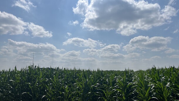Most of foreign owned land in Michigan is forested areas of the Upper Peninsula as opposed to cornfields and farmland.