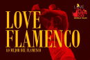 Gulf Coast Symphony Graphic for 'Love Flamenco'