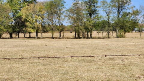 “The grass situation is pretty nonexistent right now,” said livestock producer Josh Emerson about the drought’s effect on his pasture in McIntosh County.