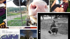 a collage of photos from the different stories