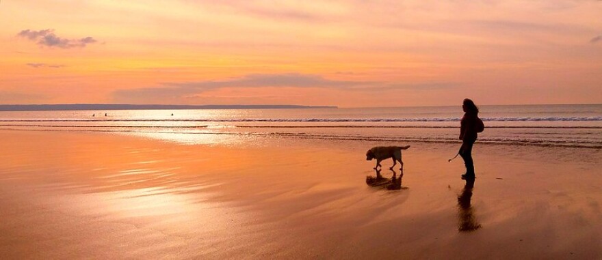 Woman and dog walking along a beach