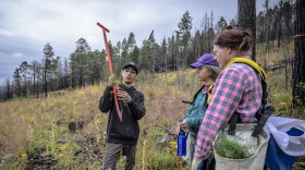 In this photo provided by the The Nature Conservancy, volunteers and members of the Hermit's Peak Watershed Alliance plant seedlings on the Hermit's Peak/Calf Canyon Fire burn scar near Mora, N.M., Saturday, Sept. 21, 2024. Pictured is Estevan Gonzales, left, giving instructions to volunteers Crystal K. Western Ford, center, and Star Ford.