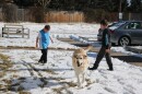 Eight-year-old Johnny Campbell (left) and ten-year-old Gage Campbell (right) play out in the snow with their dog, Jax, on Jan. 26th, 2026, in Loveland, Colo.