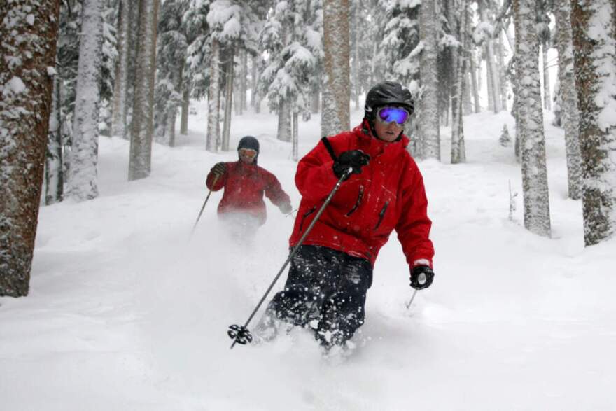 People ski between the trees in the deep powder at Telluride Ski Resort. (Nathan Bilow/AP)
