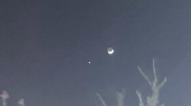 Venus Moon 