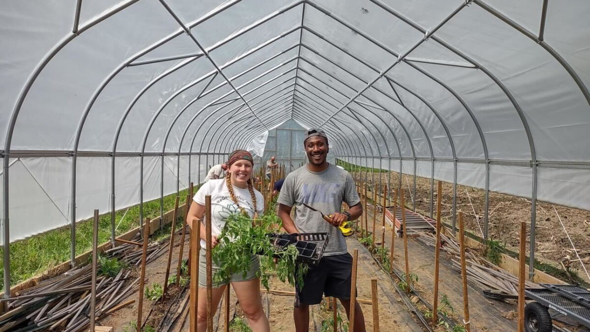 In Nashua, one group is trying to nurture residents' curiosity to grow their own food - Vimarsana News