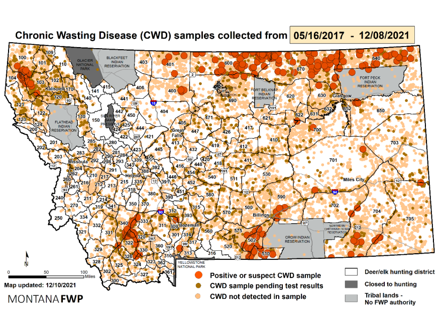 Map of chronic wasting disease samples in Montana collected from May 2017 to December 2021.