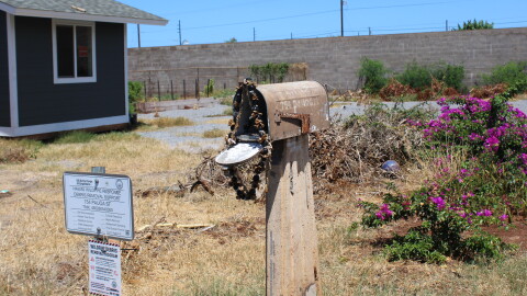 A burned-out mailbox is adorned with a kukui nut lei in front of an empty lot where a home once stood in Lahaina before the 2023 fires. (Aug. 4, 2025)