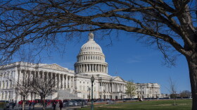 The U.S. Capitol Building sits in front of a large green lawn, crowds of people can be seen in front of it. A tree stands in the foreground, with a branch extending across the top of the photo. 