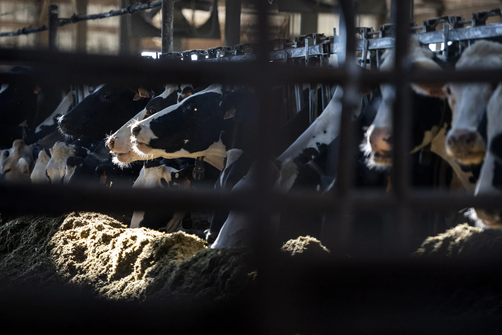 As the U.S. and Canada slap new tariffs on goods, American farmers are stuck in the middle