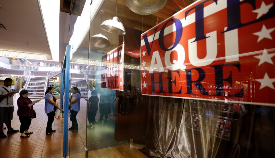 Voters wait in line at a polling place located inside a shopping mall on Election Day.