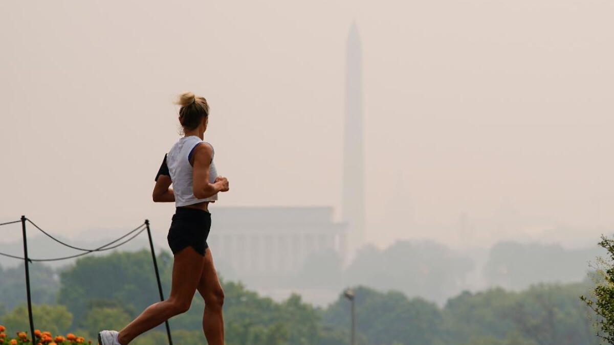 Pollution Control Board votes to remove Virginia from RGGI - Vimarsana News