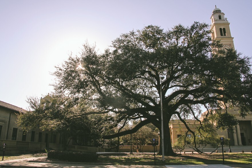 Louisiana State University, pictured above, and other colleges have started taking steps in implementing COVID-19 vaccine mandates following the FDA approval of Pfizer on Monday, Aug. 23, 2021.