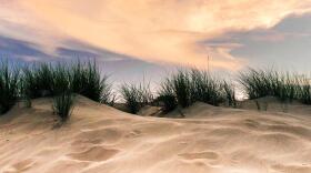 Located in Nags Head, Jockey's Ridge is the largest active sand dune on the East Coast and it's home to a state park. The Senate bill designates the surrounding land as an area of environmental concern.