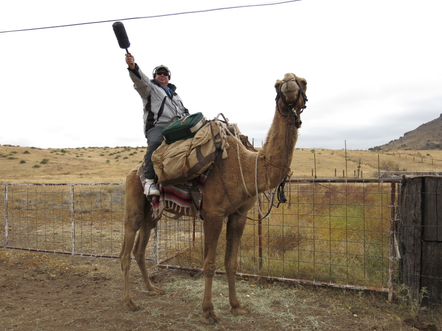 Wade Goodwyn collects sound from on high while reporting for NPR on the Texas Camel Corps in the Davis Mountains of far West Texas in 2013.