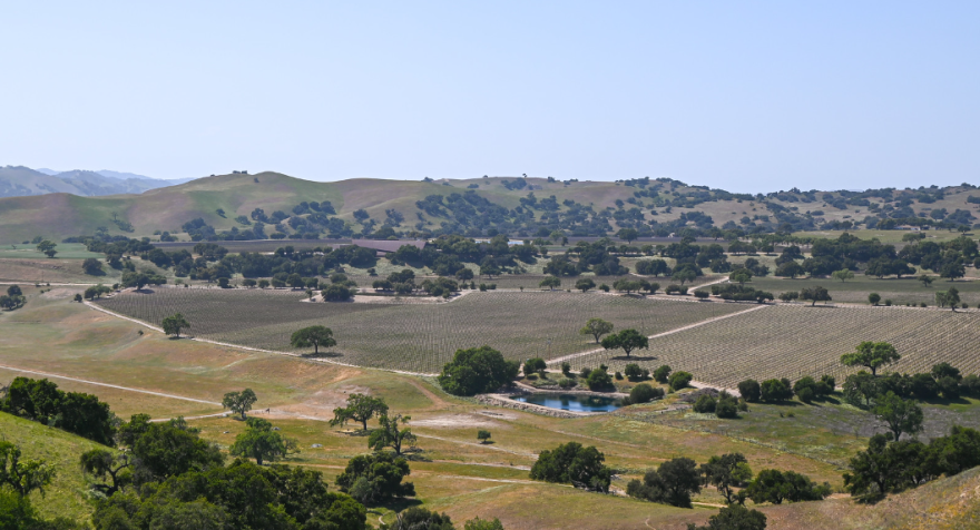 The Santa Ynez Valley.