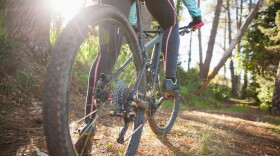 Low section of female mountain biker riding bicycle