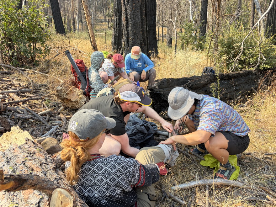 Medical students work in pairs to help the two hikers who were injured, using only what they brought with them on the hike.