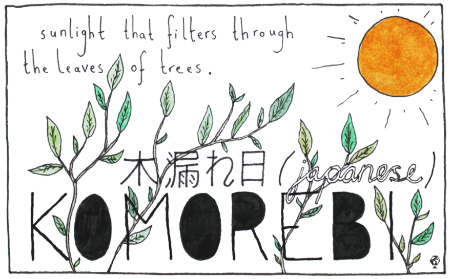 This is the word the Japanese have for when sunlight filters through the trees — the interplay between the light and the leaves.