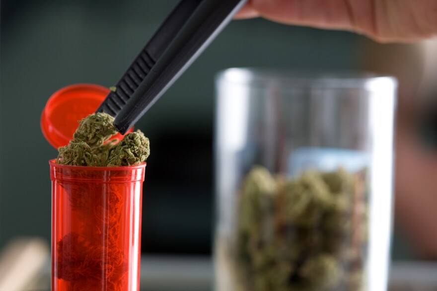 Maryland now offers the country's first master's degree in the study of the science and therapeutics of cannabis. Pictured, an employee places a bud into a bottle for a customer at a weed dispensary in Denver, Colo.
