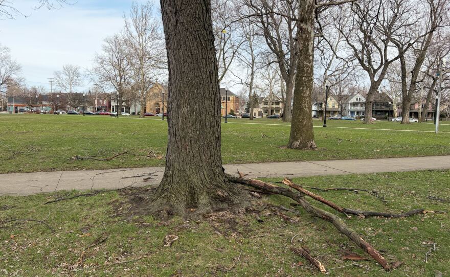 The storm brought down large limbs in Lincoln Park in Cleveland's Tremont neighborhood