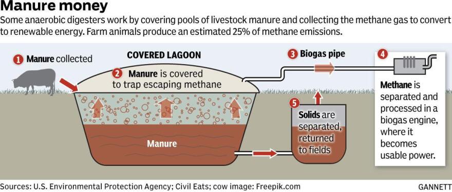 Chart shows the process manure is collected