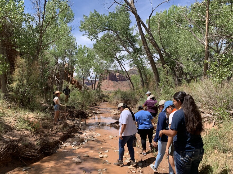Students from the the Canyonlands Research Center NATURE program learn about riparian health on the shores of Indian Creek