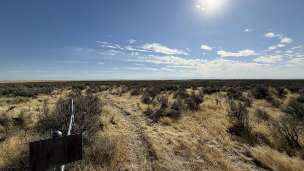 Dried sagebrush and grasses sweep across an open desert