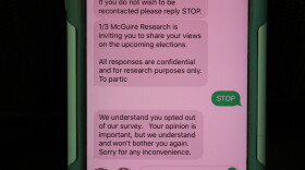 Spam texts are on the rise and experts say there's no end in sight.