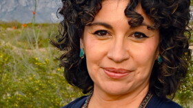 Sarah Silva is a Democrat running for the New Mexico State Representative seat in district 53